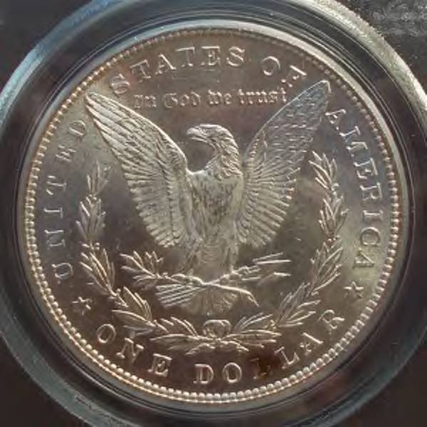 1885-Morgan---You-Vs.-PCGS